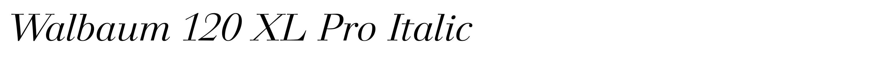 Walbaum 120 XL Pro Italic